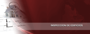 inspect_es